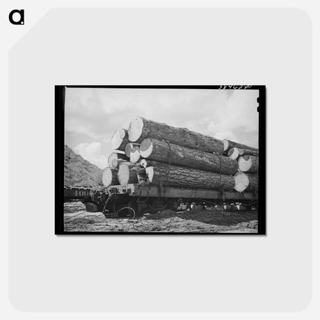 アートポストカード-Logs on Flatcar from Mountain Logging Camp
 - ラッセル リー Postcard.