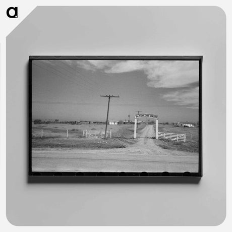 アートパネル-Entrance to Dairy, Tom Green County, Near San Angelo, Texas
 - ラッセル リー Canvas.