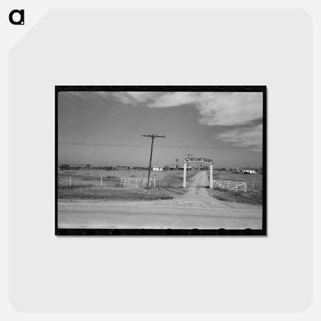 アートポストカード-Entrance to Dairy, Tom Green County, Near San Angelo, Texas
 - ラッセル リー Postcard.