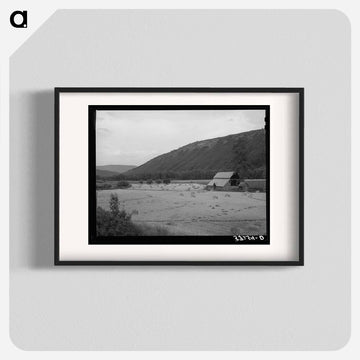 Wheat Field, Anchuleta County, Colorado
 - ラッセル リー Poster.