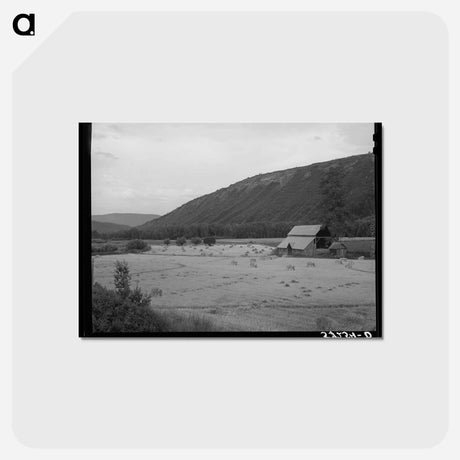 アートポストカード-Wheat Field, Anchuleta County, Colorado
 - ラッセル リー Postcard.