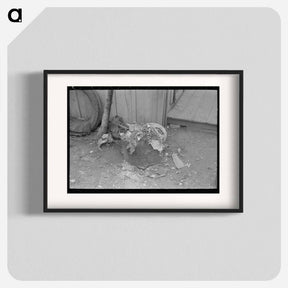 アートポスター-Uncollected Garbage and Pot Plants, San Antonio, Texas
 - ラッセル リー Poster.