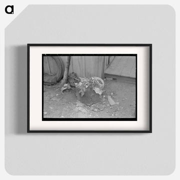 Uncollected Garbage and Pot Plants, San Antonio, Texas
 - ラッセル リー Poster.