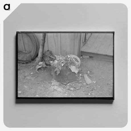 アートパネル-Uncollected Garbage and Pot Plants, San Antonio, Texas
 - ラッセル リー Canvas.