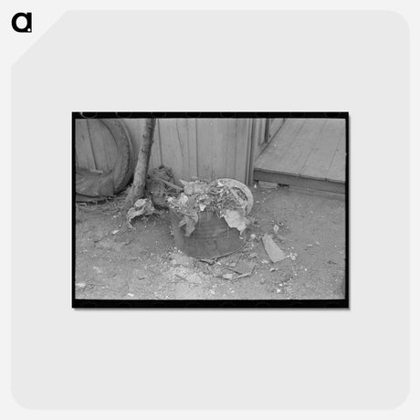 アートポストカード-Uncollected Garbage and Pot Plants, San Antonio, Texas
 - ラッセル リー Postcard.