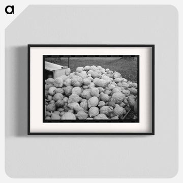 Roadside Squash Stand
 - ラッセル リー Poster.