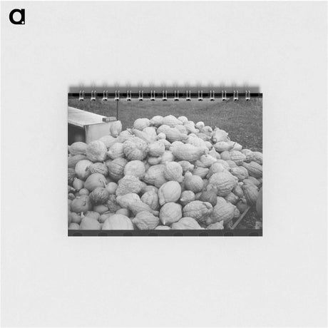 アートメモ帳-Roadside Squash Stand
 - ラッセル リー Memo.