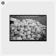 アートポストカード-Roadside Squash Stand
 - ラッセル リー Postcard.
