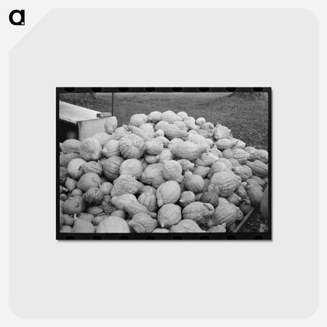 アートポストカード-Roadside Squash Stand
 - ラッセル リー Postcard.