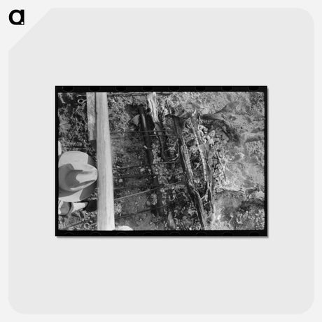 アートポストカード-Scene in Branding Pen at Roundup Near Marfa, Texas
 - ラッセル リー Postcard.