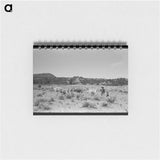 アートメモ帳-Mrs. Caudill and Daughter Driving in the Cows, Pie Town, New Mexico
 - ラッセル リー Memo.