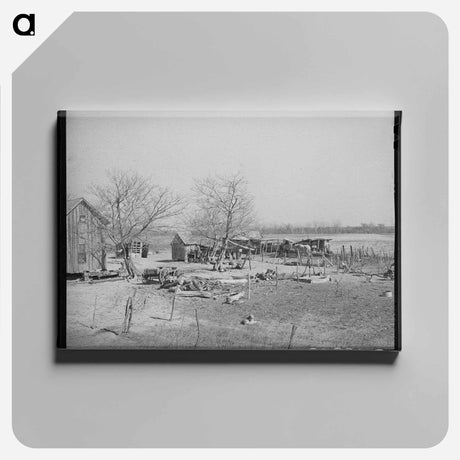 アートパネル-Farmyard, McIntosh County, Oklahoma
 - ラッセル リー Canvas.