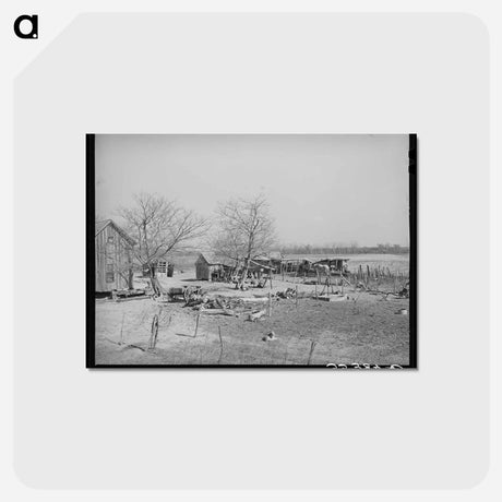 アートポストカード-Farmyard, McIntosh County, Oklahoma
 - ラッセル リー Postcard.