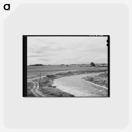 アートポストカード-Irrigation Ditch, Canyon County, Idaho
 - ラッセル リー Postcard.