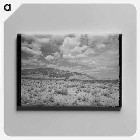 アートパネル-Cochise County Scene
 - ラッセル リー Canvas.
