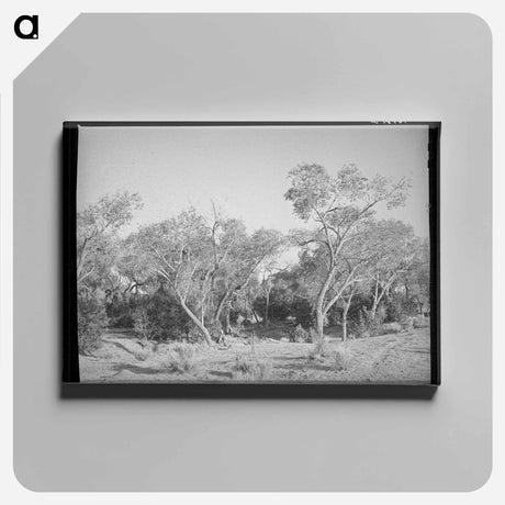 アートパネル-Cottonwood, Quemado, New Mexico
 - ラッセル リー Canvas.
