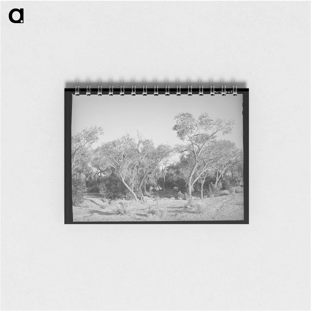 アートメモ帳-Cottonwood, Quemado, New Mexico
 - ラッセル リー Memo.