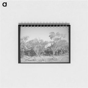 アートメモ帳-Cottonwood, Quemado, New Mexico
 - ラッセル リー Memo.