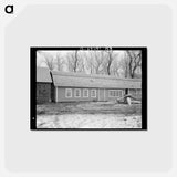 アートポストカード-Tenant Farm Chicken House
 - ラッセル リー Postcard.