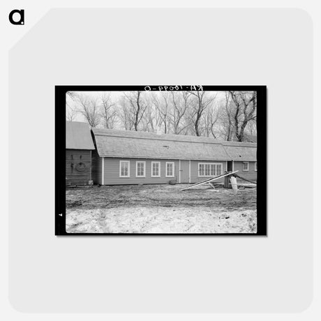 アートポストカード-Tenant Farm Chicken House
 - ラッセル リー Postcard.