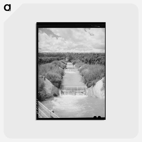 アートポストカード-Lateral Irrigation Ditch in Orchard, Canyon County, Idaho
 - ラッセル リー Postcard.
