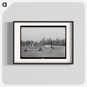アートポスター-Cows Grazing Near Mizpah, Minnesota
 - ラッセル リー Poster.
