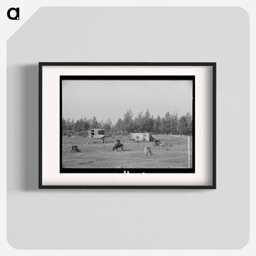 Cows Grazing Near Mizpah, Minnesota
 - ラッセル リー Poster.