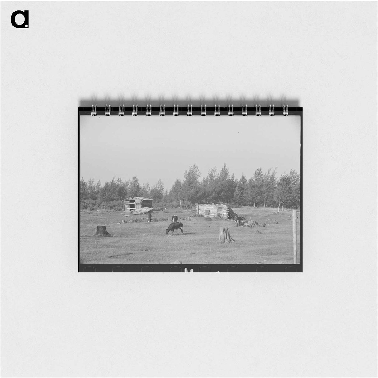 アートメモ帳-Cows Grazing Near Mizpah, Minnesota
 - ラッセル リー Memo.