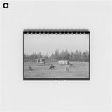 アートメモ帳-Cows Grazing Near Mizpah, Minnesota
 - ラッセル リー Memo.