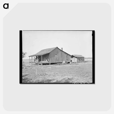 アートポストカード-Sharecropper's Shack near La Forge, Missouri
 - ラッセル リー Postcard.