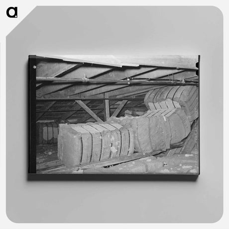 アートパネル-Cotton in Storage, Waco, Texas
 - ラッセル リー Canvas.