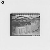 アートメモ帳-Cotton in Storage, Waco, Texas
 - ラッセル リー Memo.