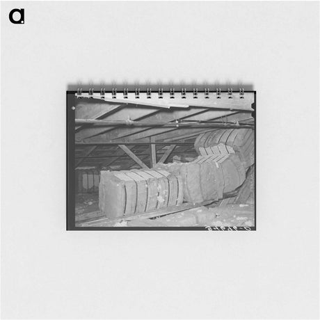 アートメモ帳-Cotton in Storage, Waco, Texas
 - ラッセル リー Memo.