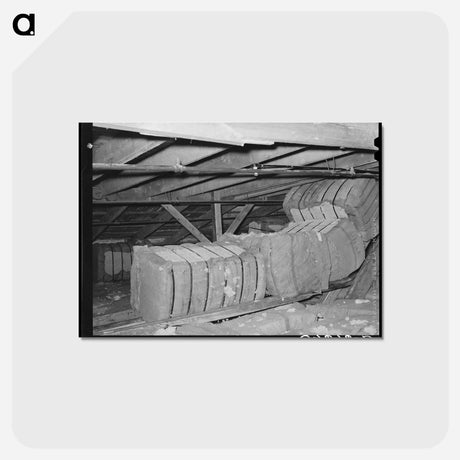 アートポストカード-Cotton in Storage, Waco, Texas
 - ラッセル リー Postcard.