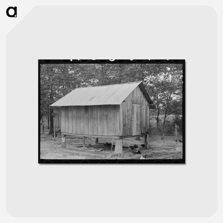 アートポストカード-Shed on Stilts near Amite, Louisiana
 - ラッセル リー Postcard.