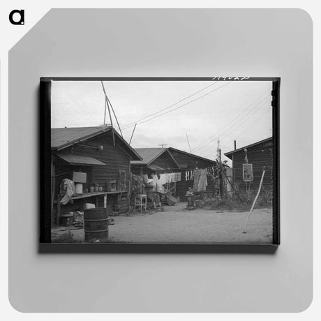 アートパネル-Backyards of Rented Houses, San Diego
 - ラッセル リー Canvas.