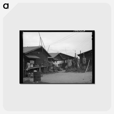 アートポストカード-Backyards of Rented Houses, San Diego
 - ラッセル リー Postcard.