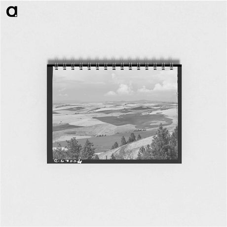 アートメモ帳-Wheat Land, Nez Perce County, Idaho
 - ラッセル リー Memo.