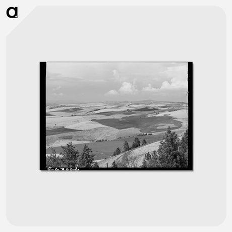 アートポストカード-Wheat Land, Nez Perce County, Idaho
 - ラッセル リー Postcard.