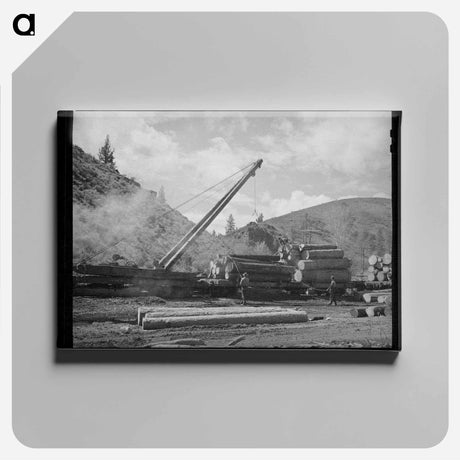 アートパネル-Logging Operation, Baker County, Oregon
 - ラッセル リー Canvas.