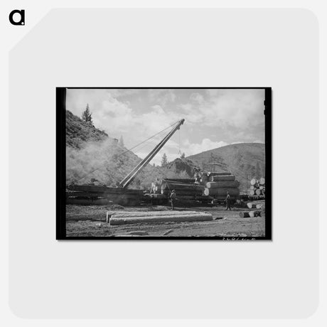 アートポストカード-Logging Operation, Baker County, Oregon
 - ラッセル リー Postcard.