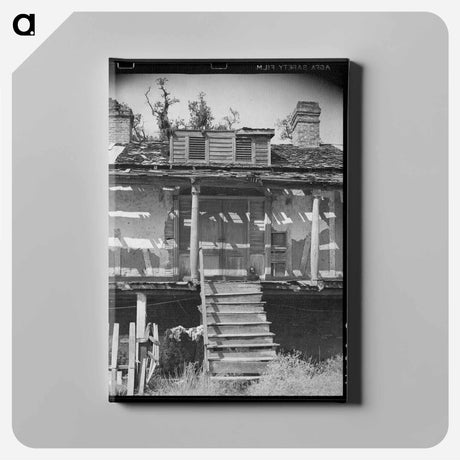 アートパネル-Entrance to Old Trepagnier Plantation House Near Norco, Louisiana
 - ラッセル リー Canvas.