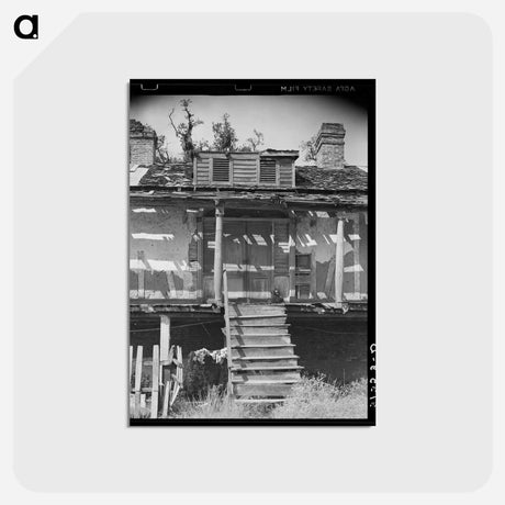 アートポストカード-Entrance to Old Trepagnier Plantation House Near Norco, Louisiana
 - ラッセル リー Postcard.