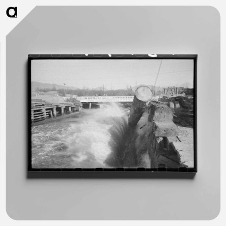 アートパネル-Logs Rolling into the Pond, Tillamook, Oregon
 - ラッセル リー Canvas.