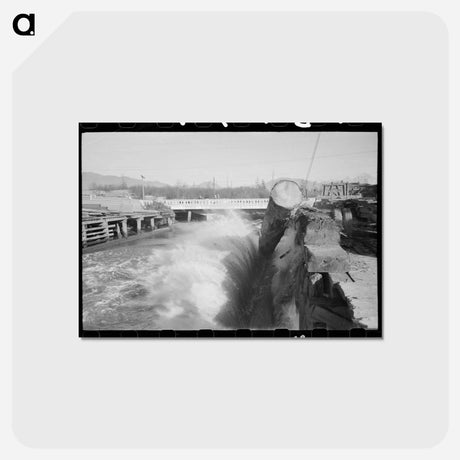 アートポストカード-Logs Rolling into the Pond, Tillamook, Oregon
 - ラッセル リー Postcard.