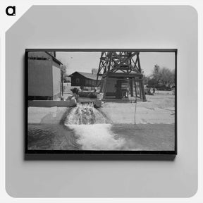アートパネル-Woman Washing Clothes at Deep Well, Maricopa County, Arizona
 - ラッセル リー Canvas.