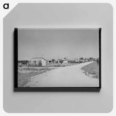 アートパネル-Row of Houses at Casa Grande Valley Farms
 - ラッセル リー Canvas.