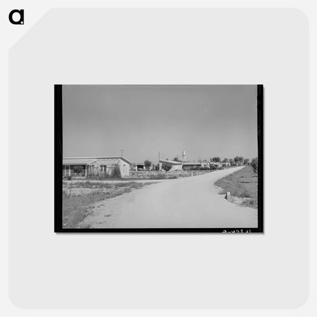 アートポストカード-Row of Houses at Casa Grande Valley Farms
 - ラッセル リー Postcard.