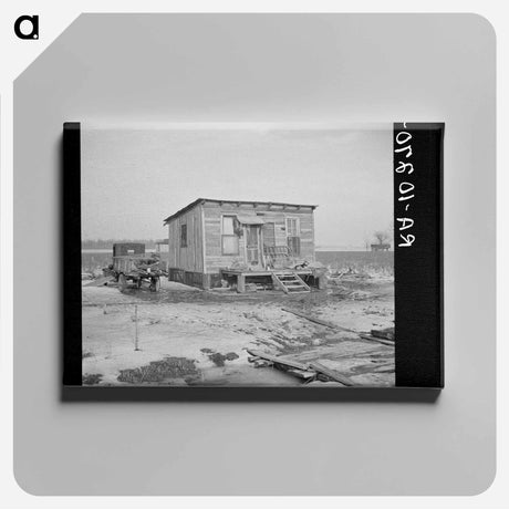 アートパネル-Farmhouse Evacuated During the Flood, Cache, Illinois
 - ラッセル リー Canvas.