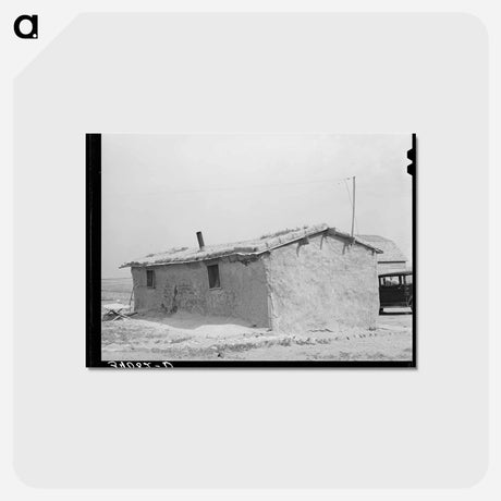 アートポストカード-Sod House of the Schoenfeldts, Sheridan County, Kansas
 - ラッセル リー Postcard.